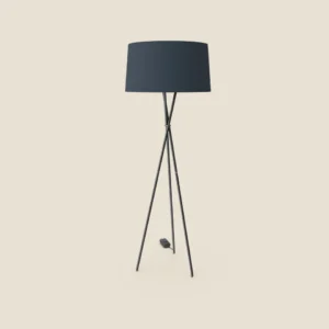 Tripod Light